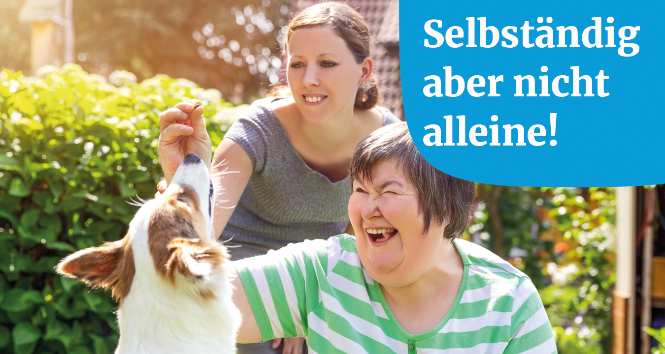 Keine Bildbeschreibung verfügbar
